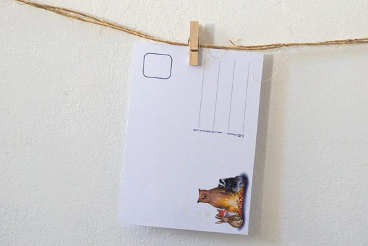 Ansichtkaart | Kamperen