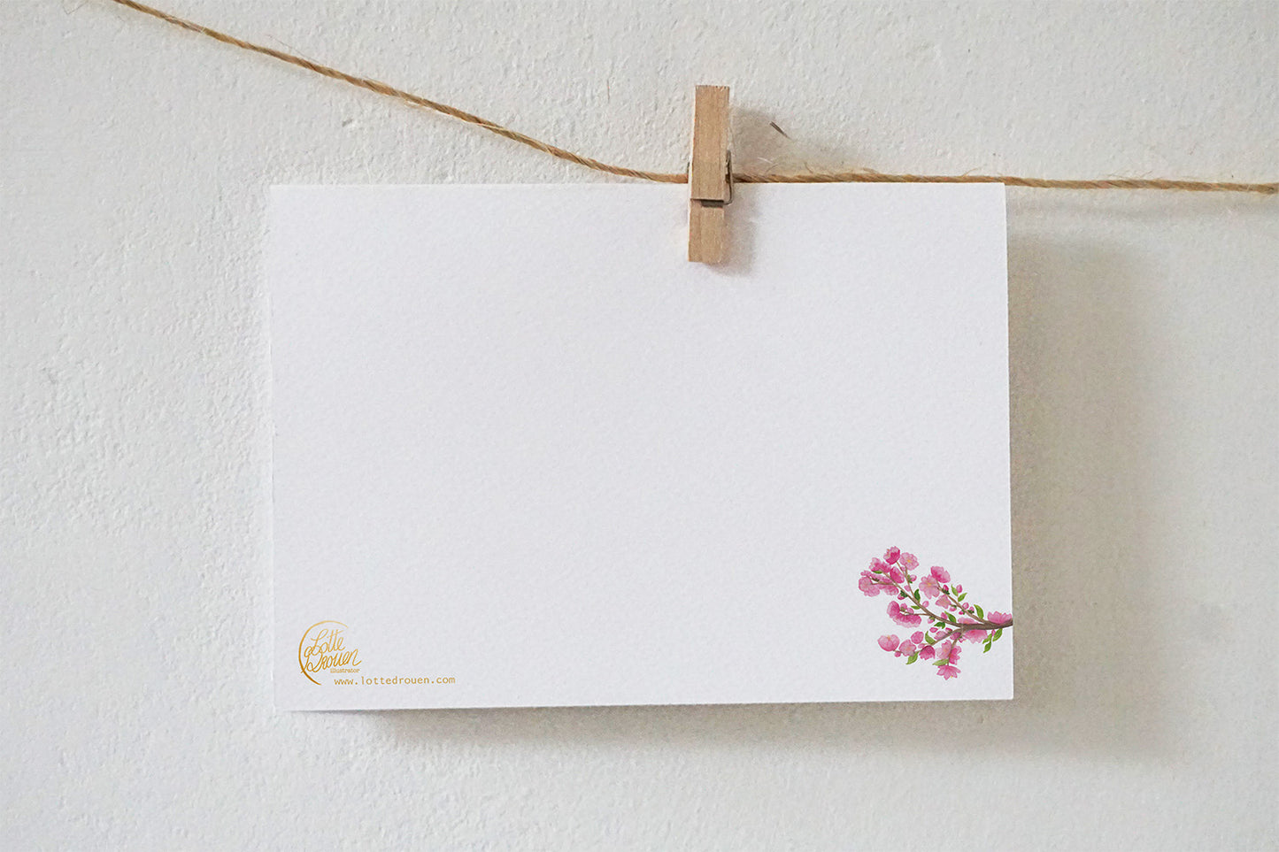 Ansichtkaart | Kersenbloesem