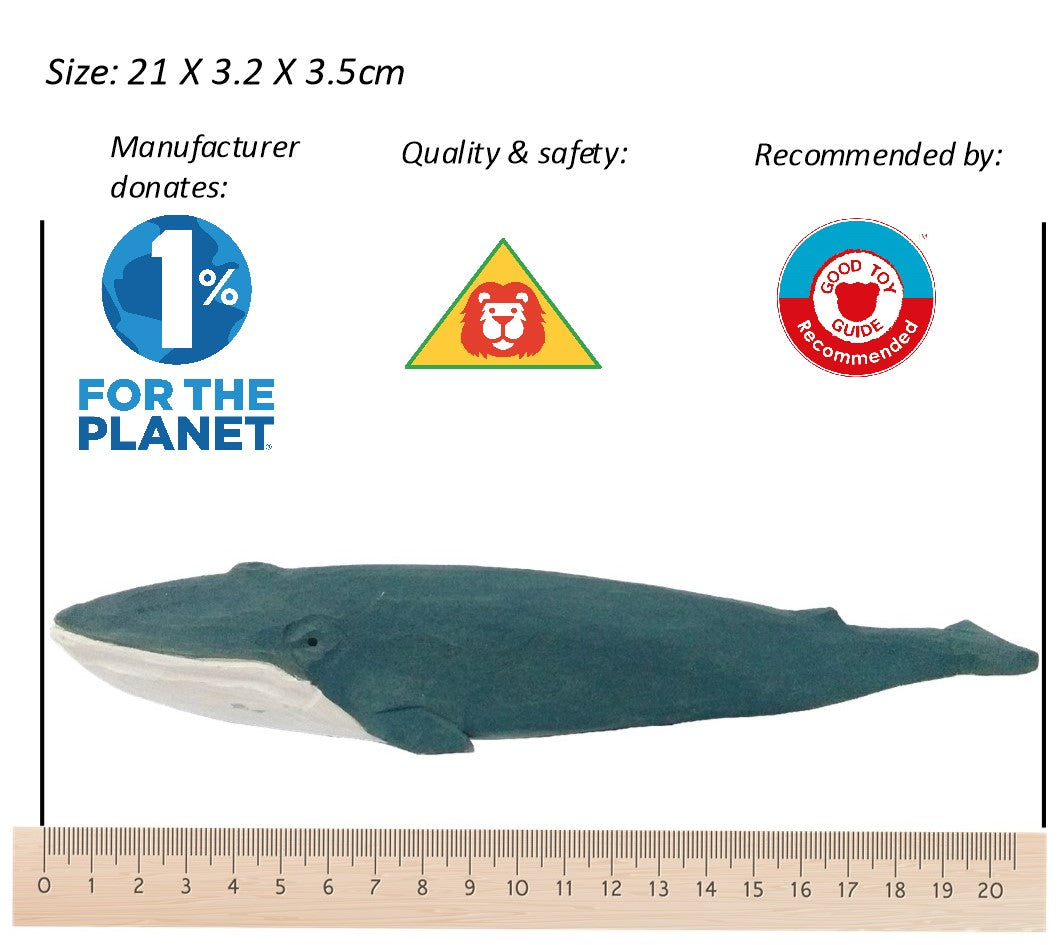 Blauwe Vinvis