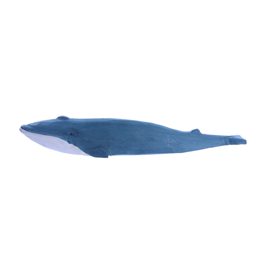 Blauwe Vinvis