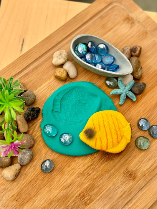 Sensory Play Stones | Fish