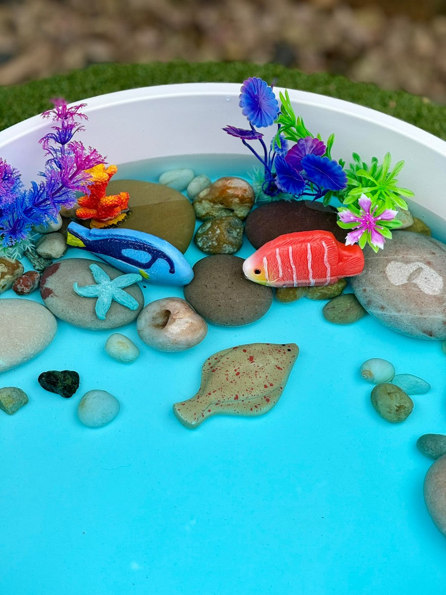 Sensory Play Stones | Fish