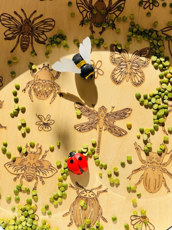 Playplate Playtray (2in1) | Insecten (op = op)