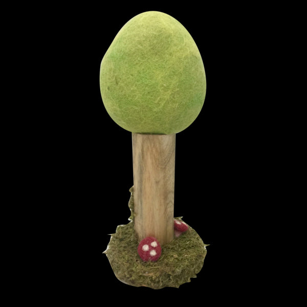 Wolvilten Boom | Lente