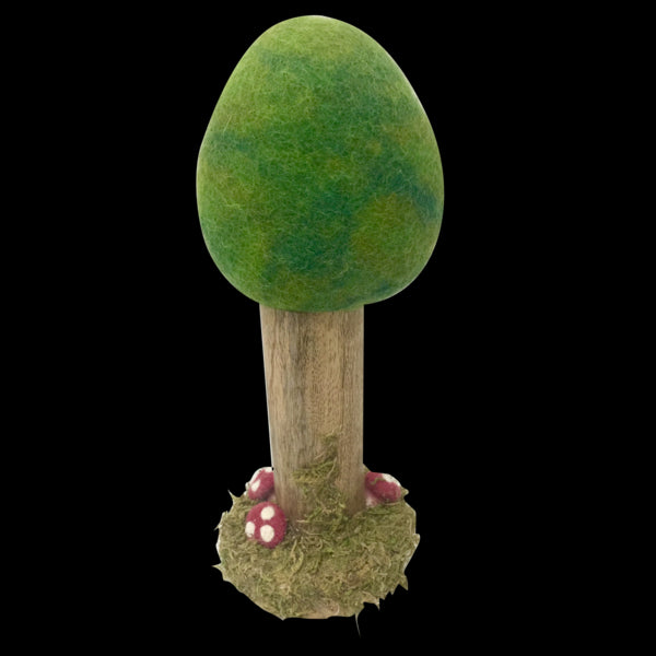 Wolvilten Boom | Zomer