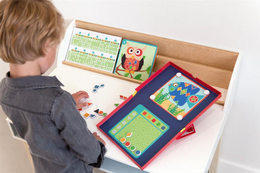 Magnetisch Spel Vormen en Kleuren - Edulogic (5+)