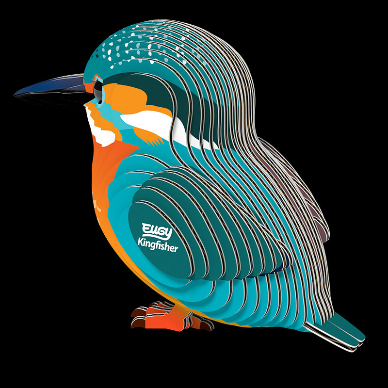 3D model | Ijsvogel