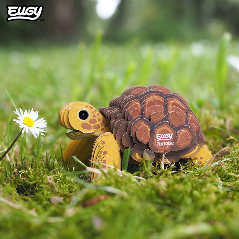 3D model | Schildpad