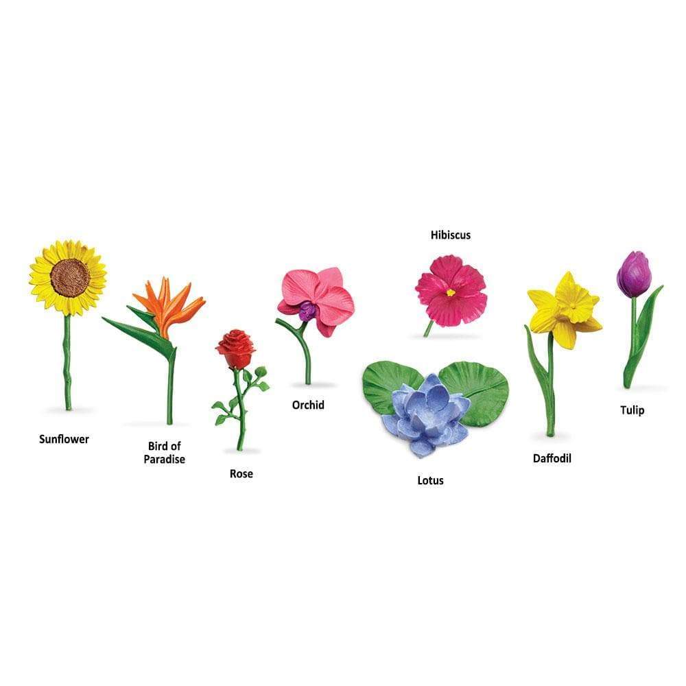 TOOB | Bloemen