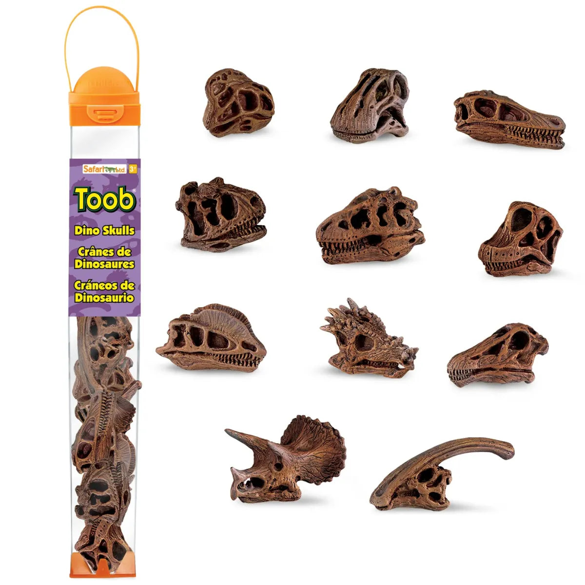 TOOB | Dinosaurusschedels