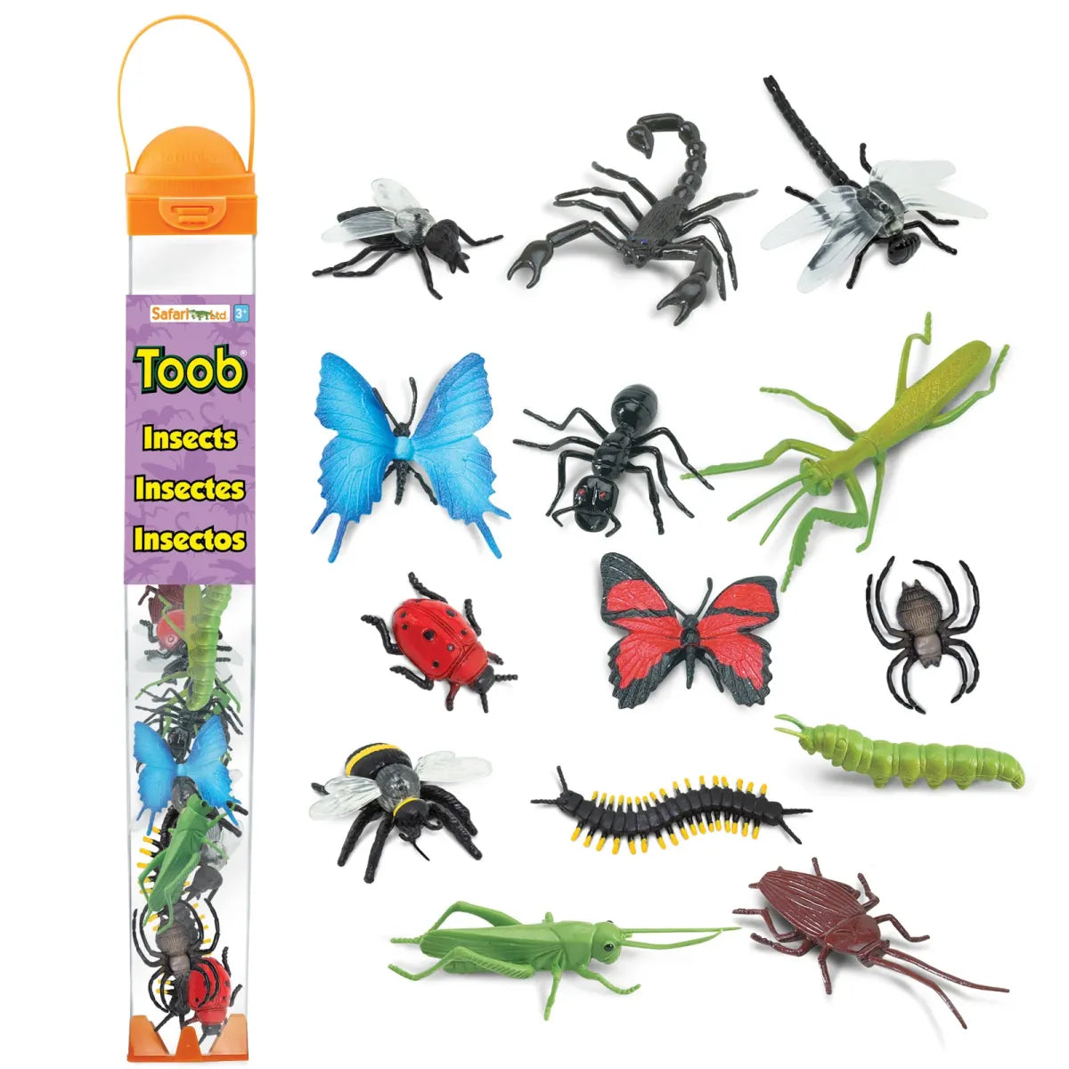 TOOB | Insecten