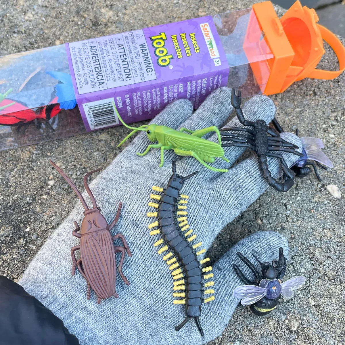 TOOB | Insecten
