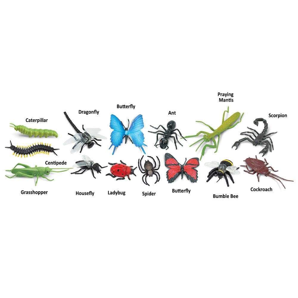 TOOB | Insecten