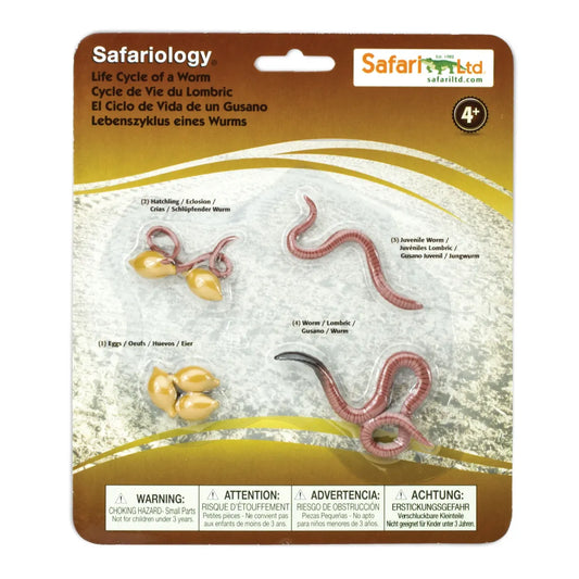 Safariology | Levenscyclus Worm