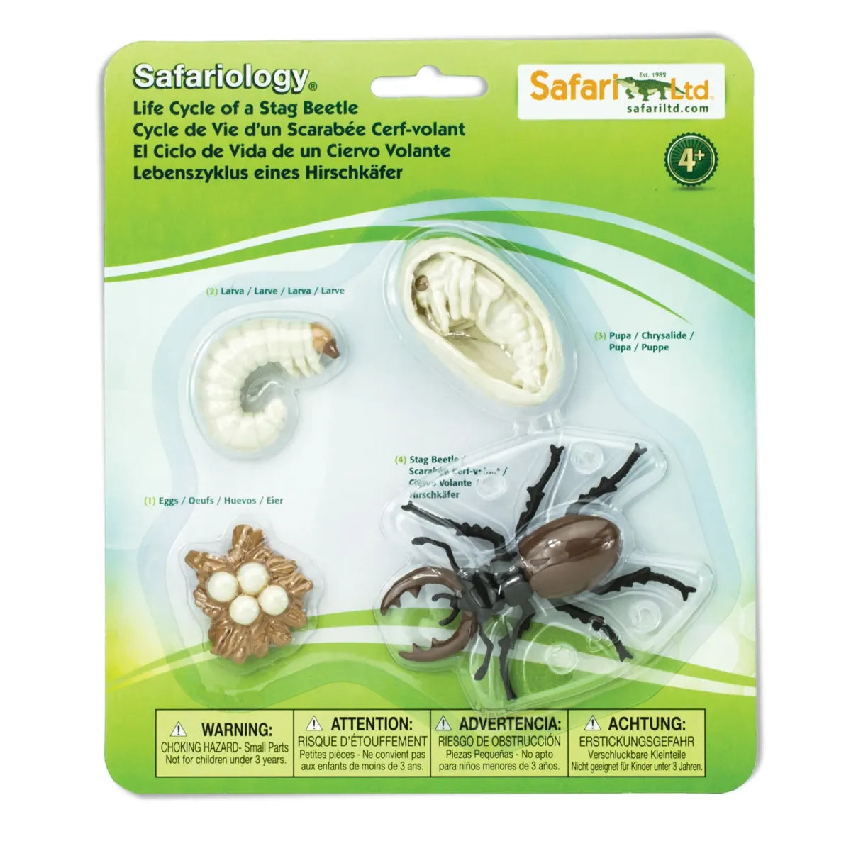 Safariology | Levenscyclus Vliegend Hert