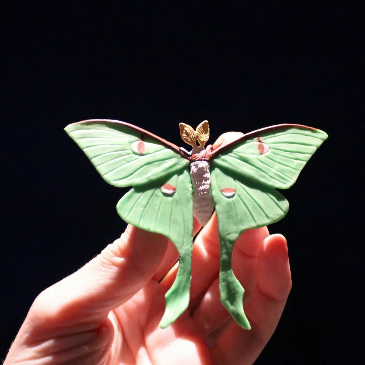 Safariology | Levenscyclus Maanmot