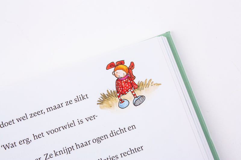 Het wonderlijke winterboek