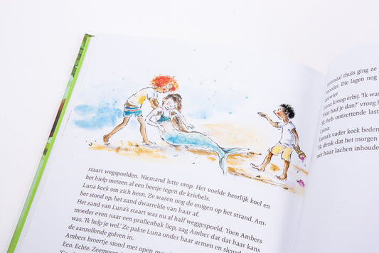 Het zonnige zomerboek