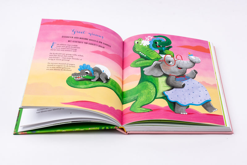 Het leuke lenteboek