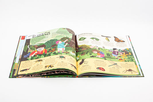 Het grote boek van onze bossen