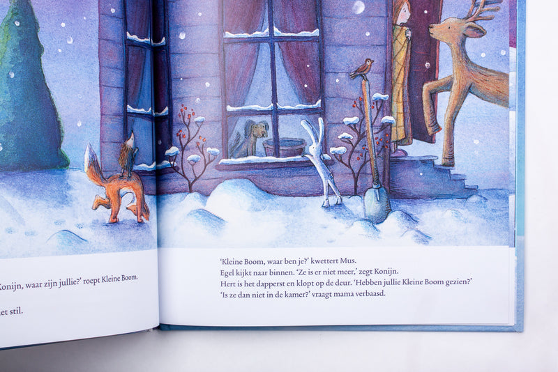 De eerste Kerst van Kleine Boom