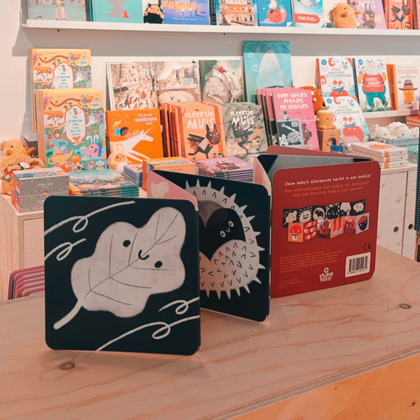 Zigzagboekje | Mijn eerste herfst