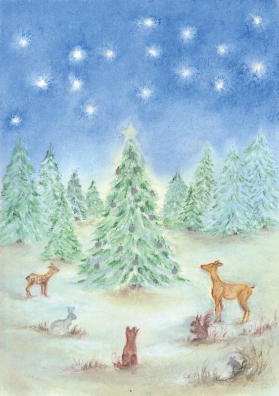 Ansichtkaart | Winterbos
