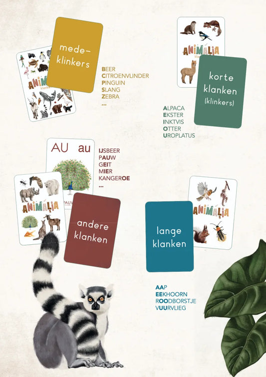 Flashkaarten | Animalia Klankkaarten