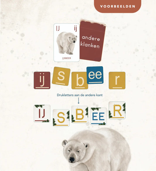 Flashkaarten | Animalia Oefenkaarten (incl. whiteboardstift)