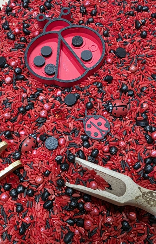 Pour & Play | Ladybug (op = op)
