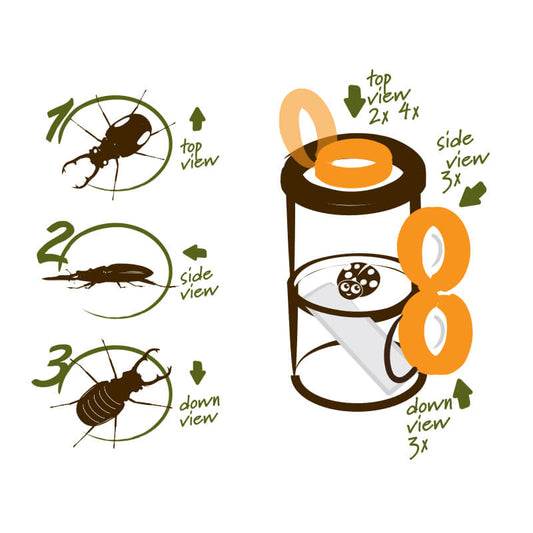 Explora Insectenloep Triple (+ Pincet)