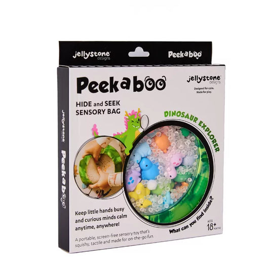 Peekaboo Sensory Bag | Dinosaur Explorer