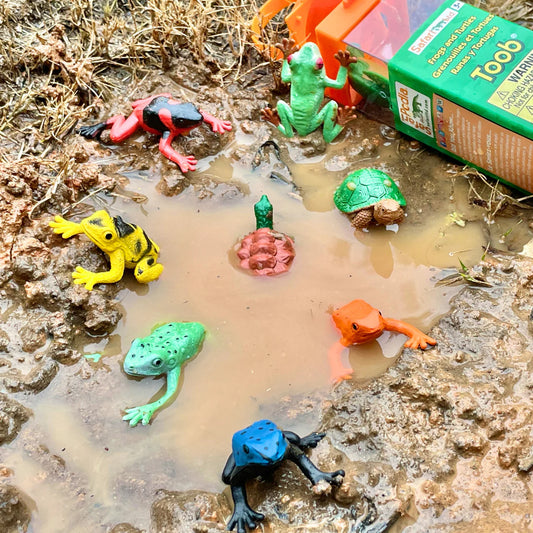 TOOB | Kikkers & Schildpadden