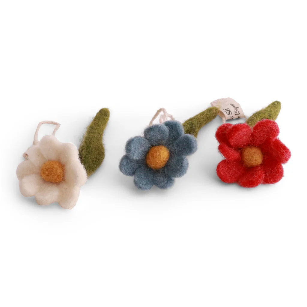 Mini Anemonen | 3 Heldere Kleuren