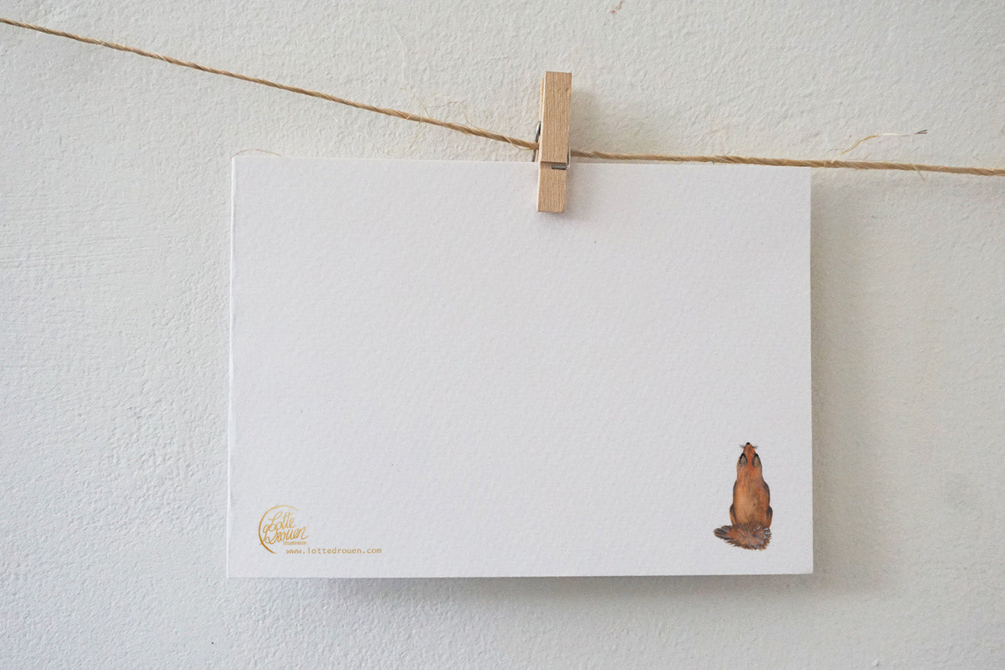 Ansichtkaart | Sterren kijken