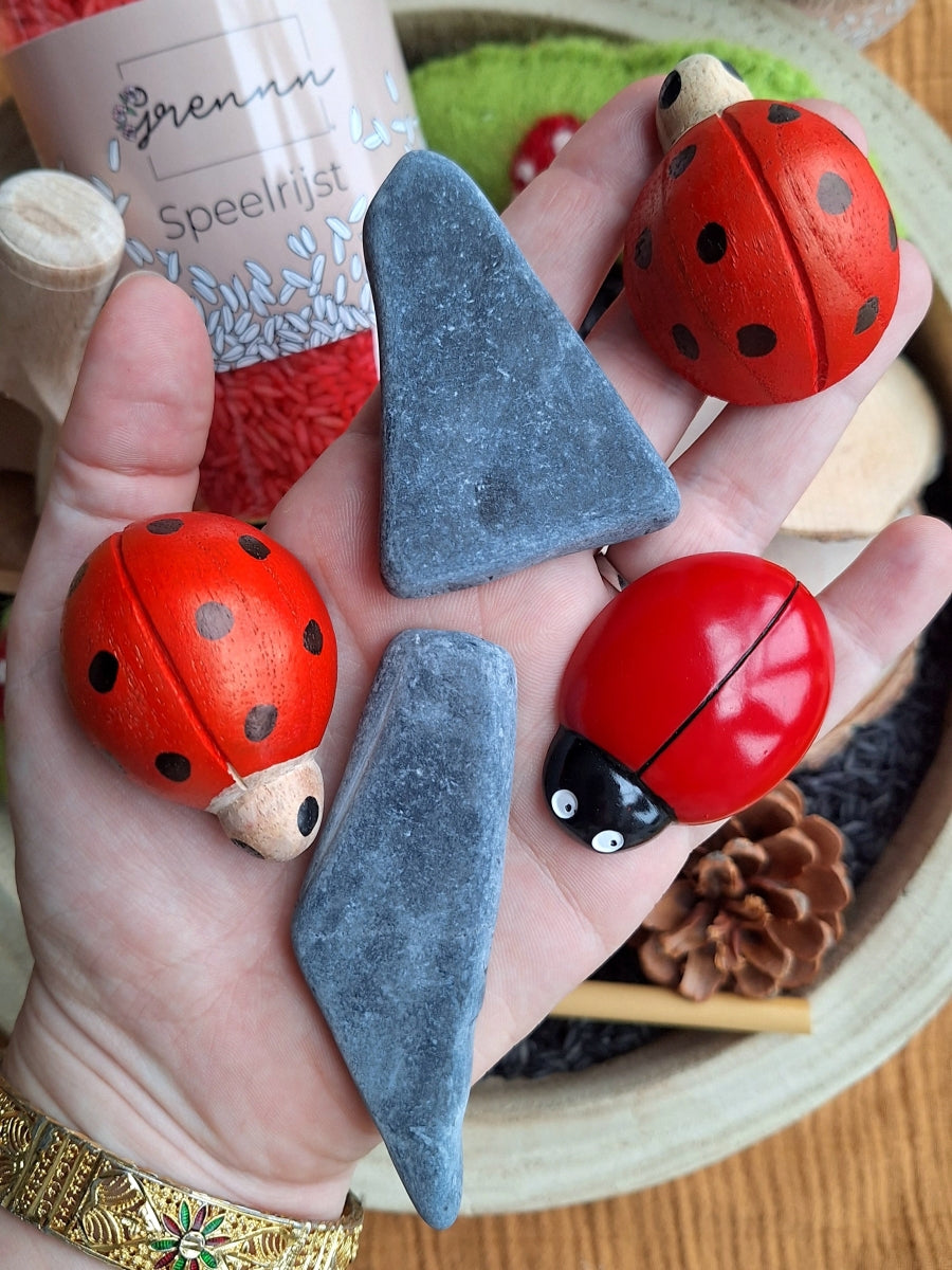 Speelrijst Speelpakket | Lieveheersbeestjes