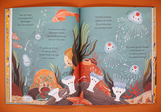 Een zee vol wonderen