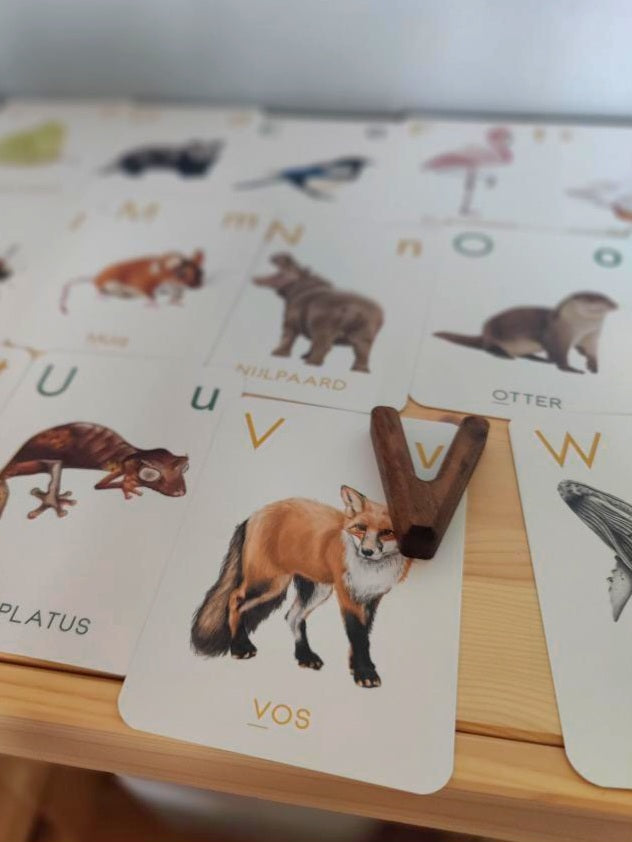 Flashkaarten | Animalia Alfabetkaarten