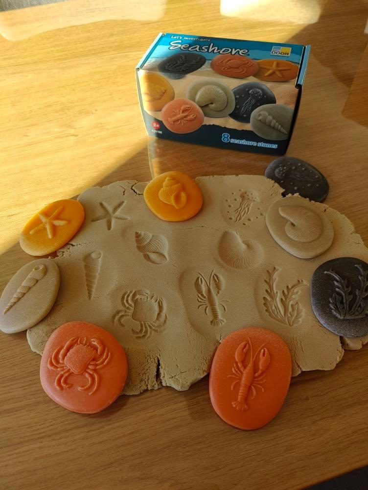 Let's Investigate | Seashore