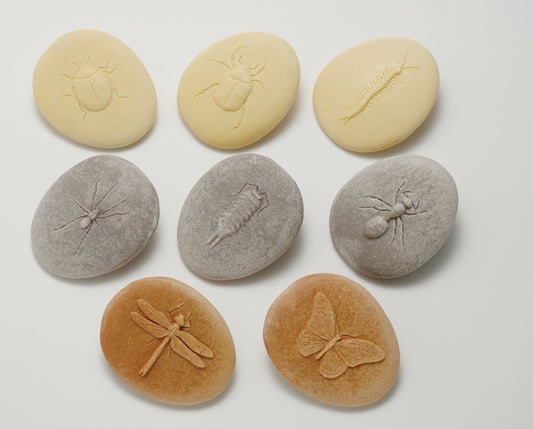 Let's Investigate | Bugs