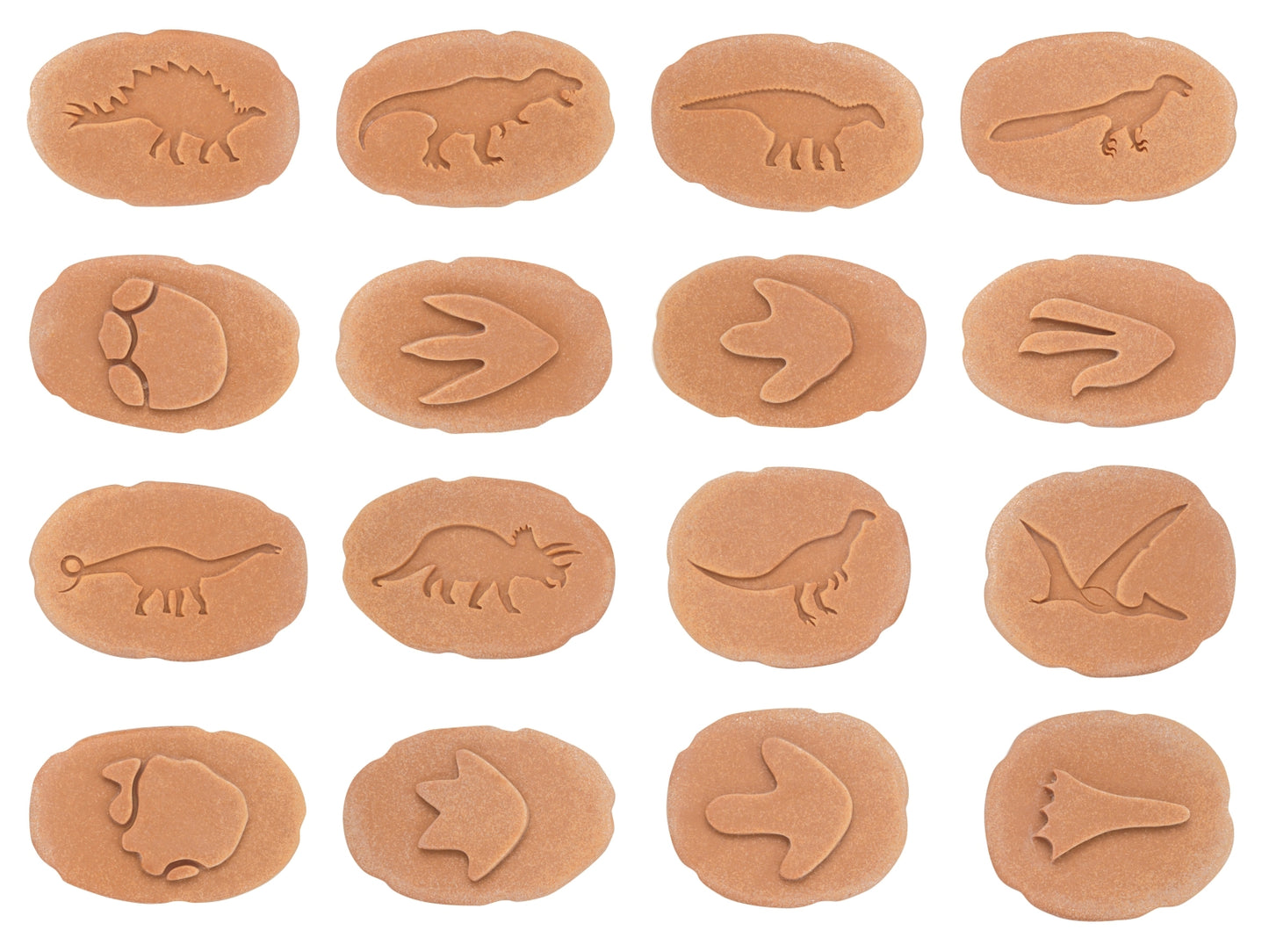 Let's Investigate | Dinosaur Footprints