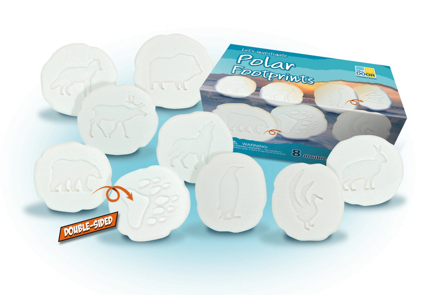 Let's Investigate | Polar Footprints