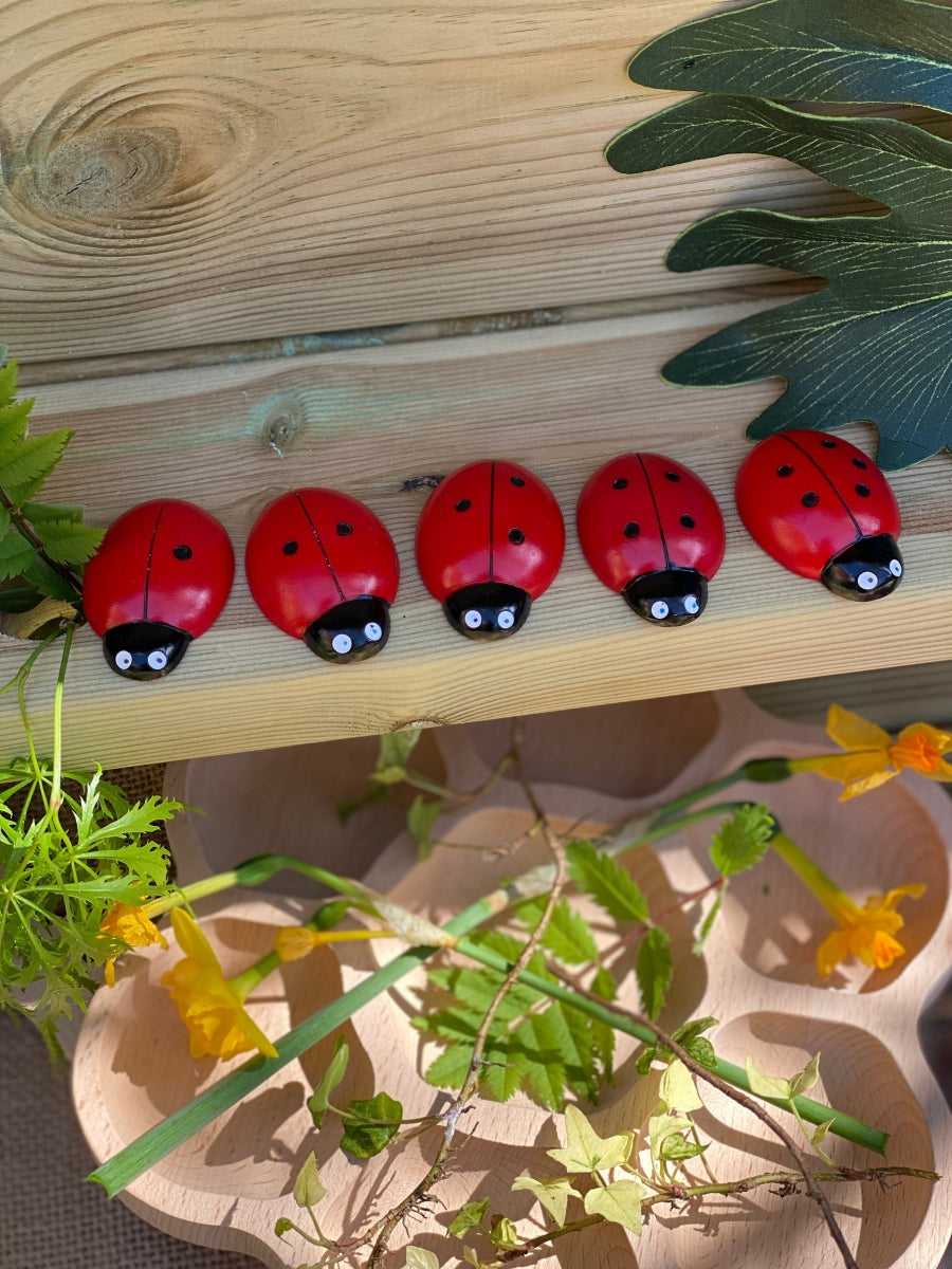 Ladybug Counting Stones