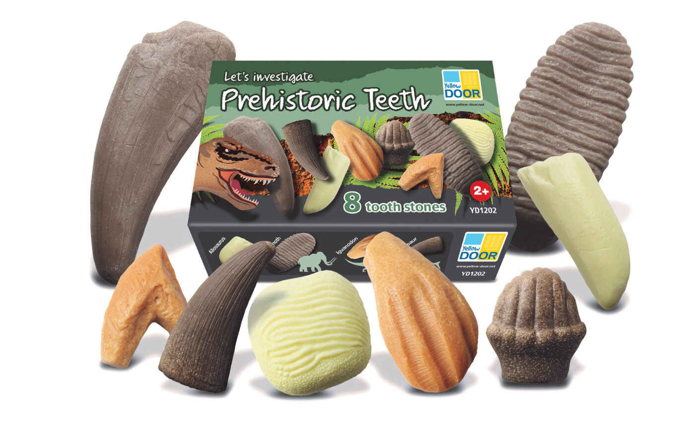 Let’s Investigate | Prehistoric Teeth