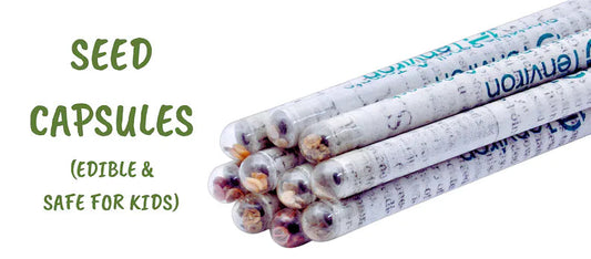 Kleurpotloden | Gerecycleerd Krantenpapier met Plantbare Zaden (op = op)