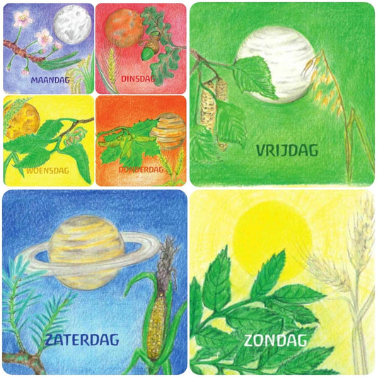Kaartenset | Dagen van de Week (7)