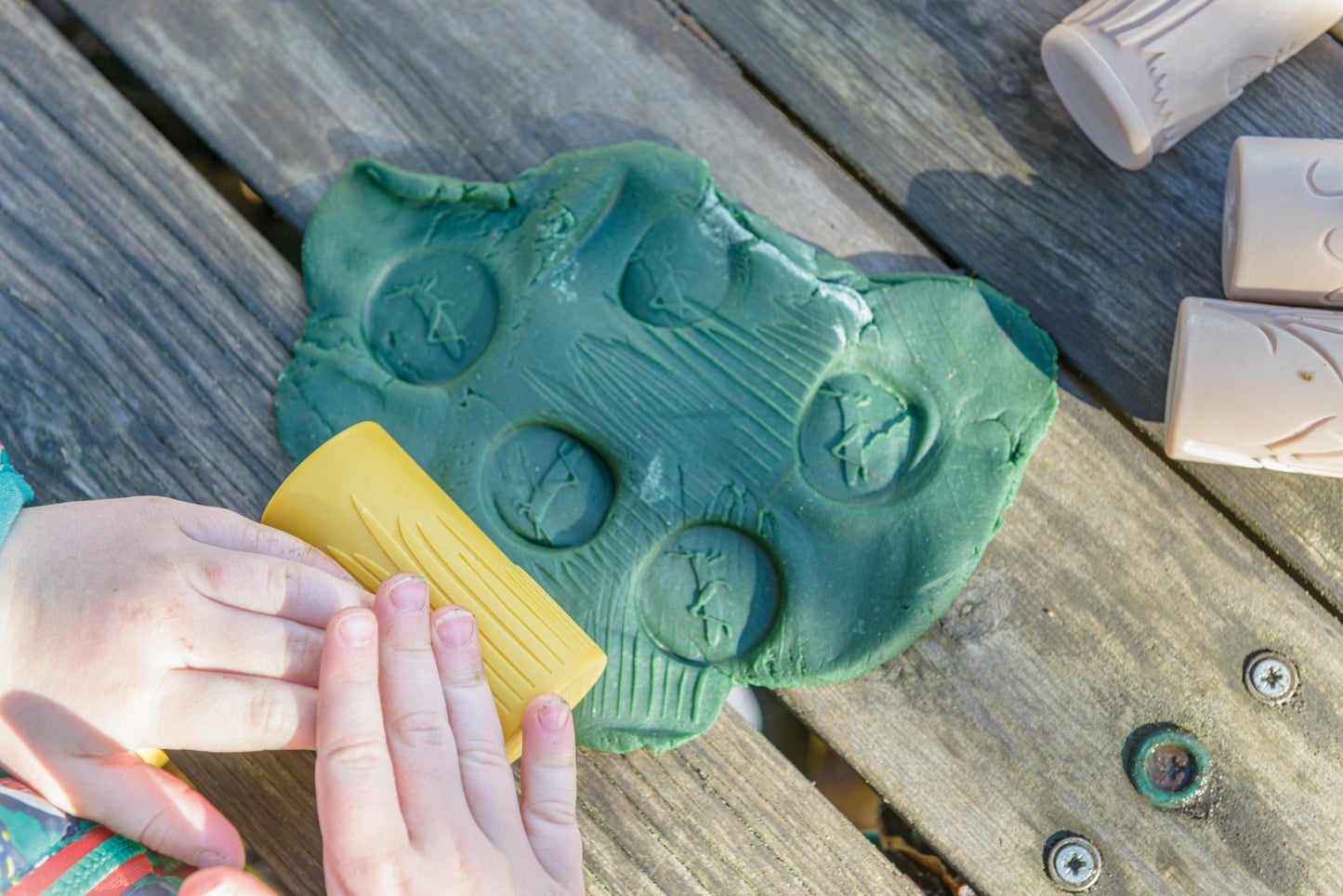 Let's Roll | Garden Bugs