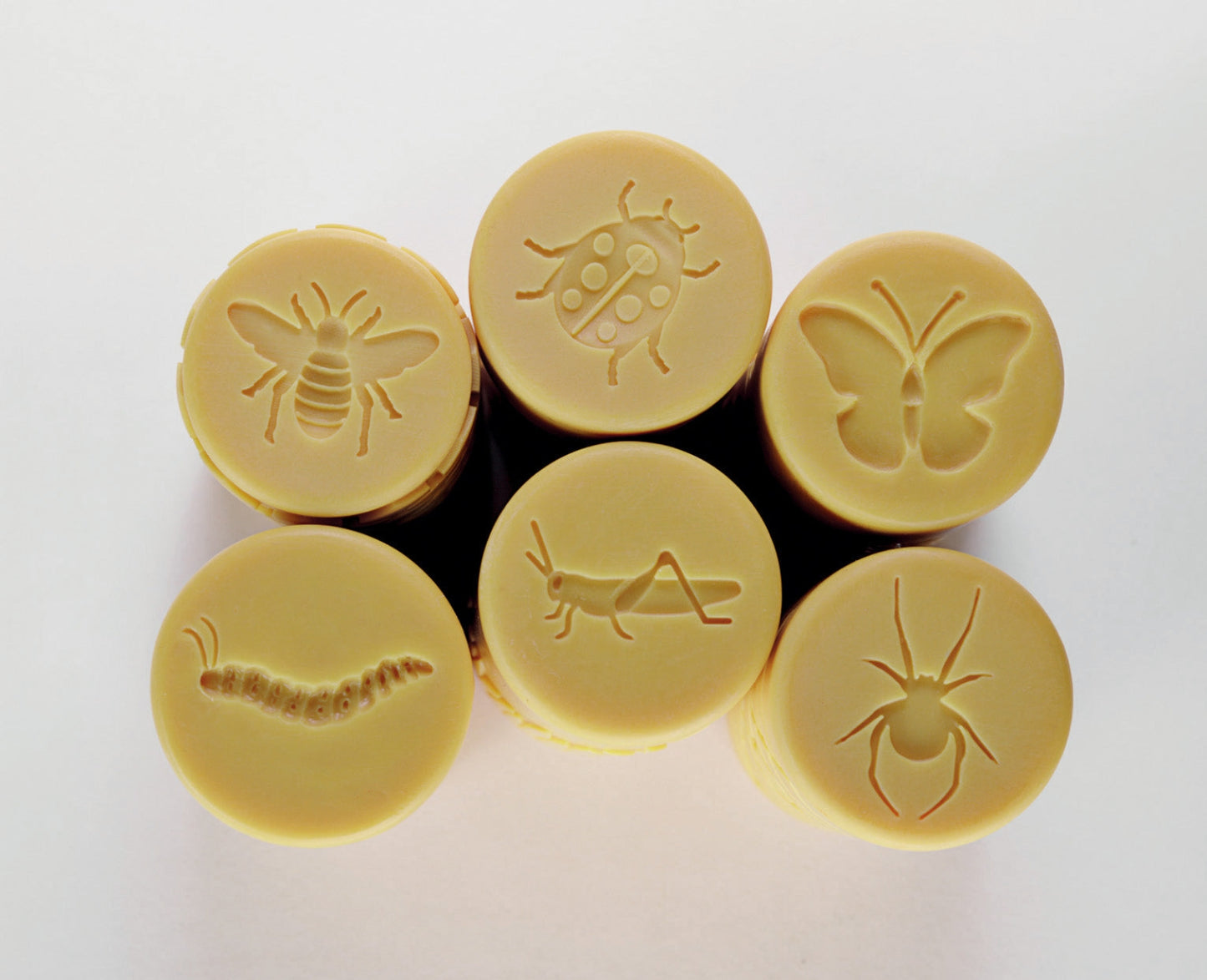 Let's Roll | Garden Bugs