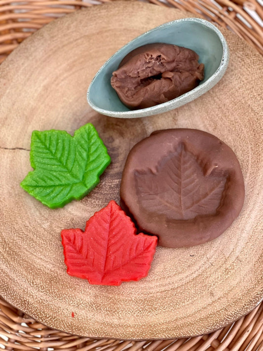 Sensory Play Stones | Leaves