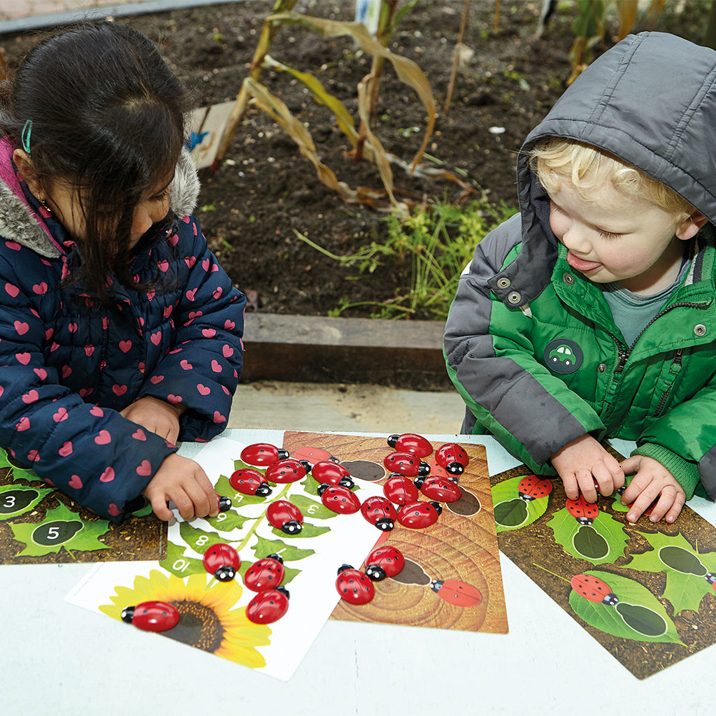 Ladybug Counting Cards